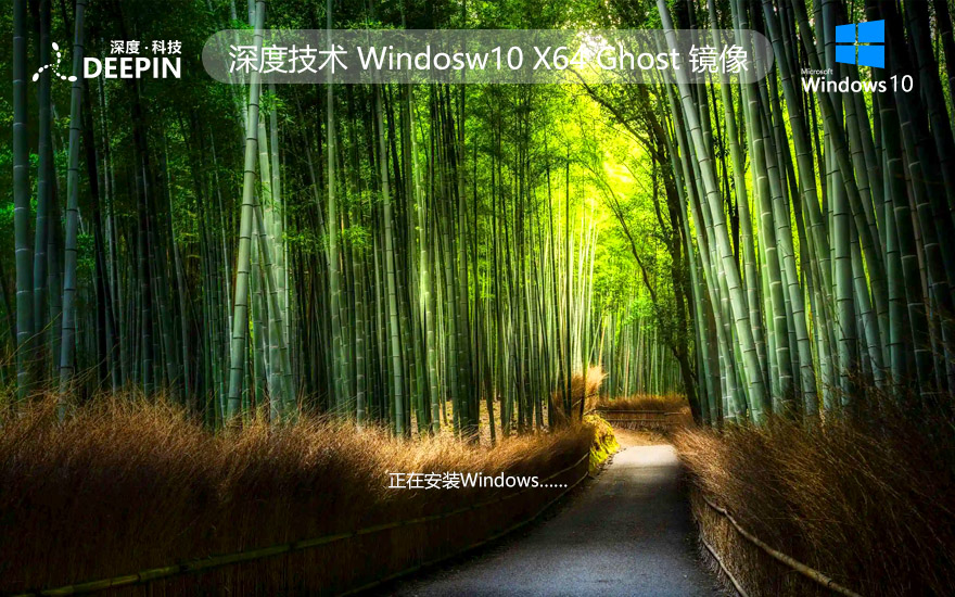 深度技術(shù)WINDOWS10企業(yè)版 最新穩(wěn)定系統(tǒng) X64位 V2022.04下載