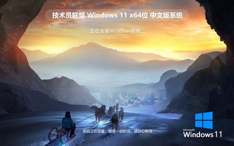 技術(shù)員聯(lián)盟windows11專業(yè)版 永久免費(fèi) X64位 V2023下載