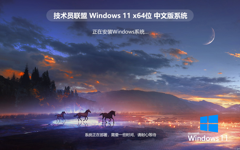 技術(shù)員聯(lián)盟WIN11專業(yè)版 微軟原版 ghost鏡像 永久激活 X64位系統(tǒng)