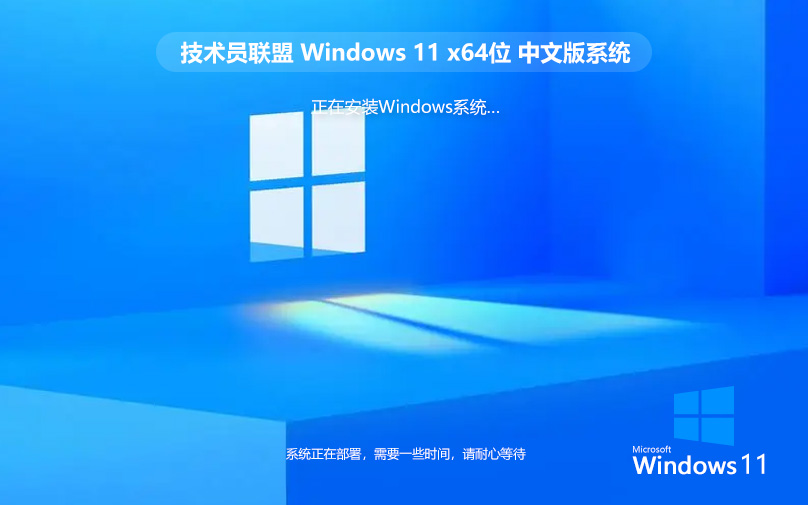 技術(shù)員聯(lián)盟Windows11裝機(jī)版 ghost系統(tǒng) X64位 WIN11專(zhuān)業(yè)版系統(tǒng)下載