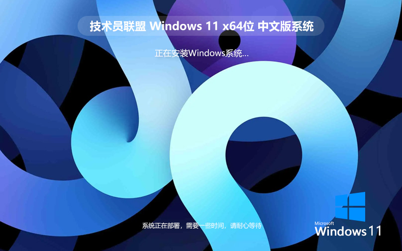 Windows11專業(yè)版 技術(shù)員聯(lián)盟 純凈PE安裝 ghost系統(tǒng) ISO鏡像 X64位下載