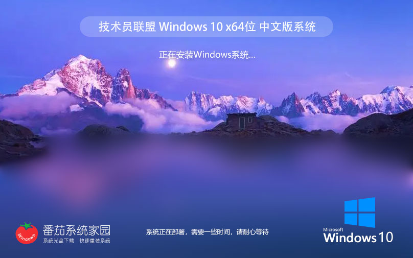 技術員聯(lián)盟windows10專業(yè)版 64位專業(yè)正式版下載 永久激活系統(tǒng)鏡像 v2023