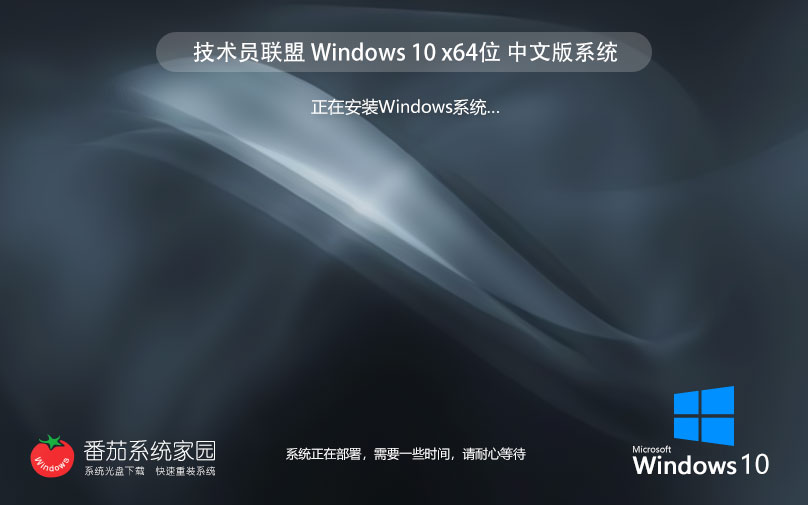 技術(shù)員聯(lián)盟windows10穩(wěn)定版 x64位永久激活 ghost鏡像下載 v2023