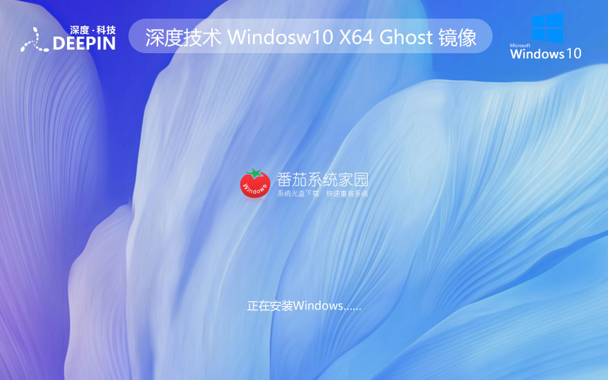 深度技術windows10下載 64位家庭版數(shù)字激活版 ghost鏡像 ISO v2023