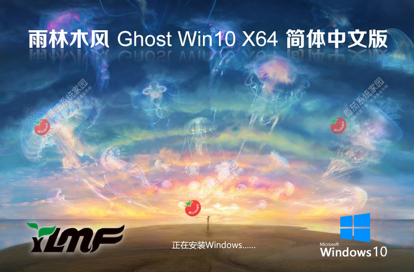 雨林木風(fēng)win10娛樂(lè)版 x64位免激活工具 ghost 系統(tǒng)下載