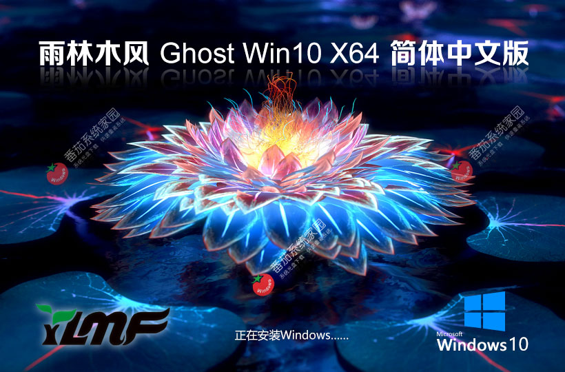 win10游戲版下載 雨林木風(fēng) X64位高性能版本下載 v2023