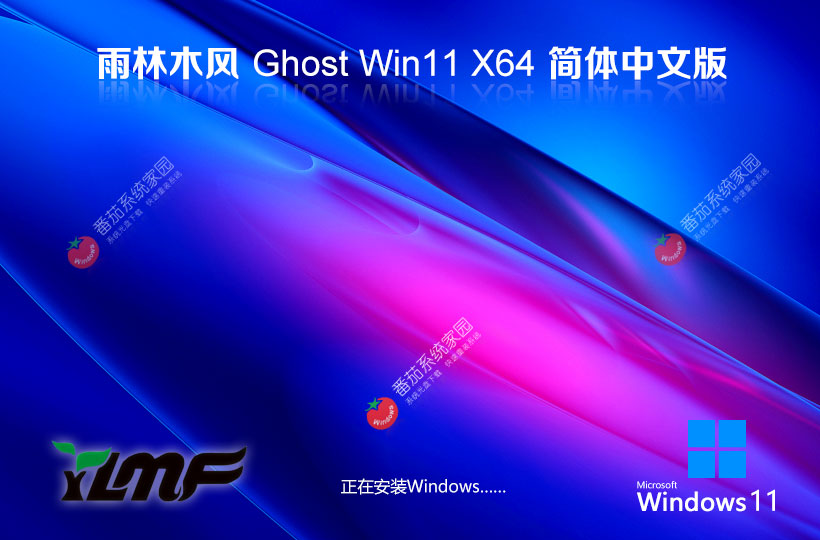 雨林木風(fēng)win11家庭版 x64位中文版下載 永久免費(fèi) Ghost鏡像