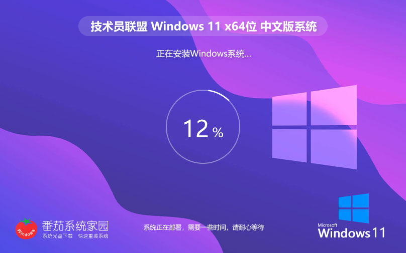 win11最新娛樂版下載 技術(shù)員聯(lián)盟x64位 ghost系統(tǒng) ISO鏡像 v2023