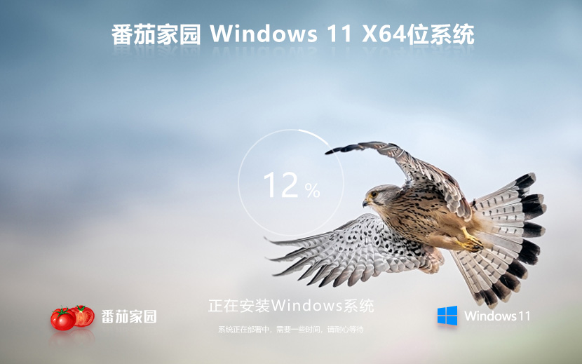 windows11最新專業(yè)版下載 番茄花園 iso ghost鏡像系統(tǒng)下載 v2023