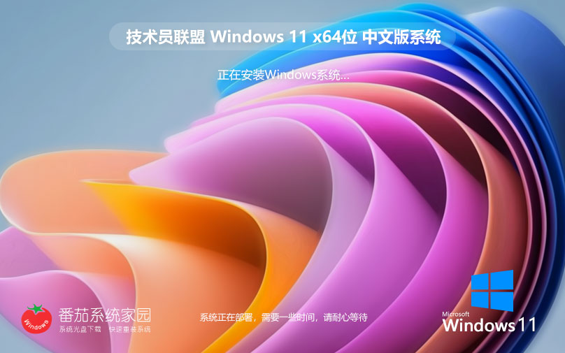 win11企業(yè)正式版下載 技術員聯盟 x64位經典版下載 華碩筆記本專用下載