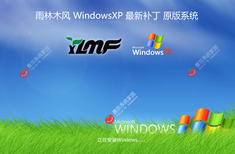 WinXP游戲專用系統(tǒng)下載 雨林木風x86高效版 ghost系統(tǒng)下載 聯(lián)想電腦專用