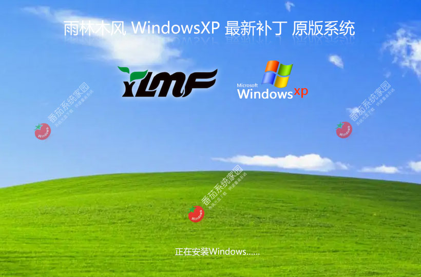 x86企業(yè)版下載 雨林木風WinXP特別版 官網(wǎng)鏡像下載 永久免費