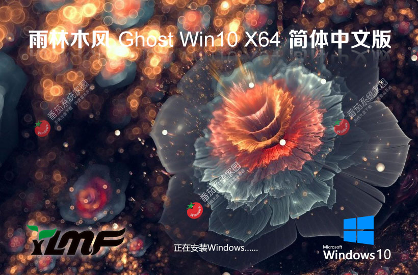 雨林木風最新版下載 x64位系統(tǒng) Windows10娛樂優(yōu)化版下載 聯(lián)想電腦專用