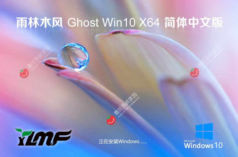 雨林木風(fēng)x64游戲?qū)Ｓ冒?win10電競(jìng)戰(zhàn)斗版 ghost鏡像下載 免激活工具