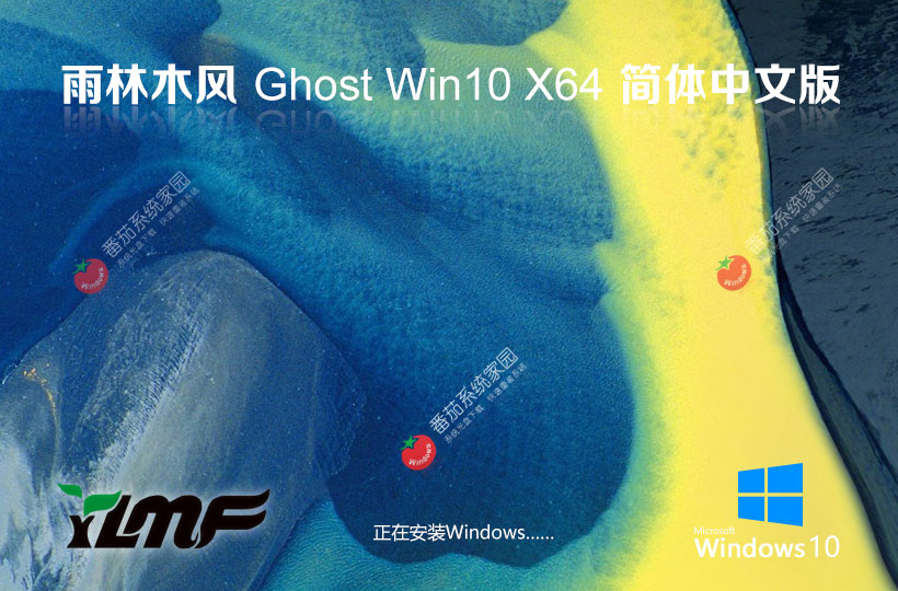 win10專業(yè)版下載 雨林木風(fēng)GHOST鏡像 x64位裝機(jī)版 筆記本專用下載