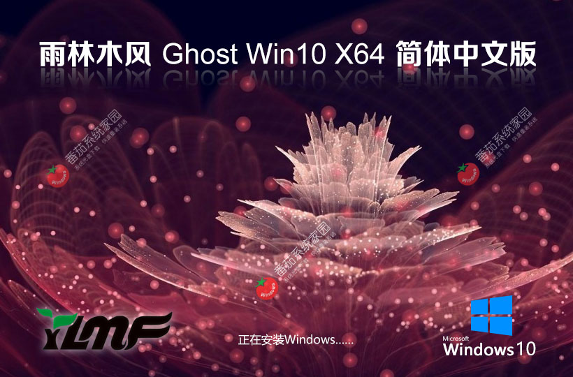 雨林木風win10游戲專用系統(tǒng) x64位大師版下載 免激活密鑰 GHOST鏡像下載