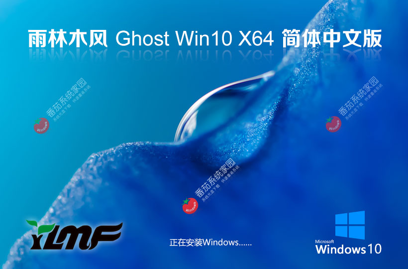 雨林木風(fēng)x64位精簡版 Windows10純凈版下載 ghost鏡像 筆記本專用下載