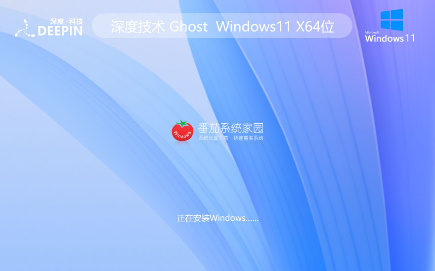 深度技術(shù)win11智能安裝版 x64位穩(wěn)定版下載 免激活工具 iso鏡像下載