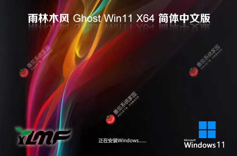 雨林木風(fēng)win11最新娛樂版 64位簡體中文版下載 Ghost 免激活工具下載