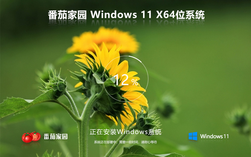 Windows11全能特快版下載 番茄花園娛樂版 x64位系統(tǒng)下載 筆記本專用