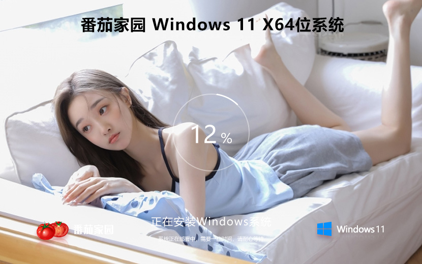 番茄花園Win11家庭專用版 Ghost鏡像 X64位下載 免激活工具 v2023