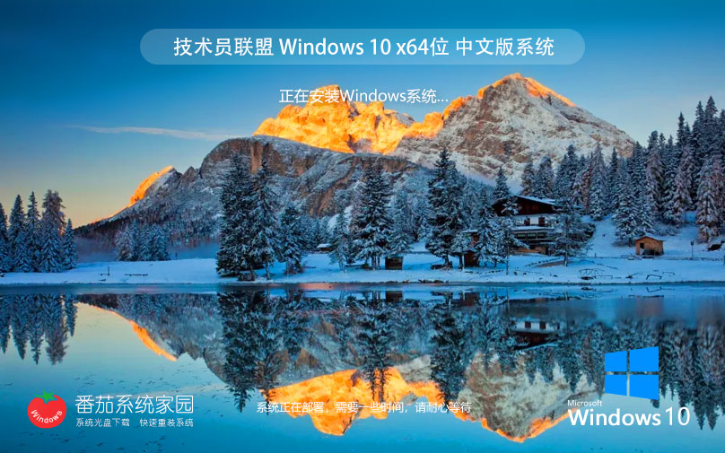 【安全防護】技術(shù)員 Win10 22H2 64位 專業(yè)安全版ISO鏡像