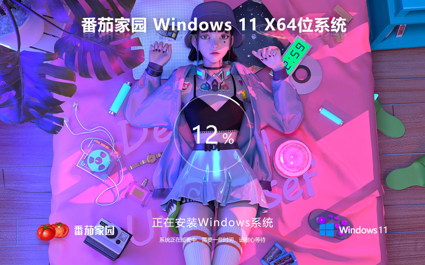 番茄花園 WIN11 23H2 x64 最新精簡(jiǎn)專(zhuān)業(yè)版v2024.04