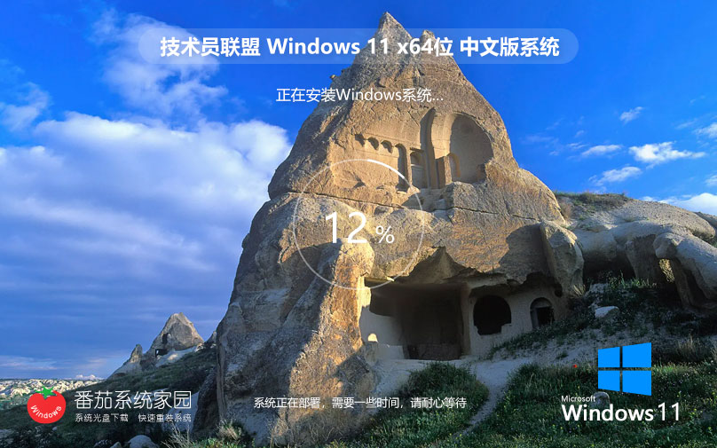 筆記本專屬優(yōu)化 Win11 64位 通用專業(yè)版