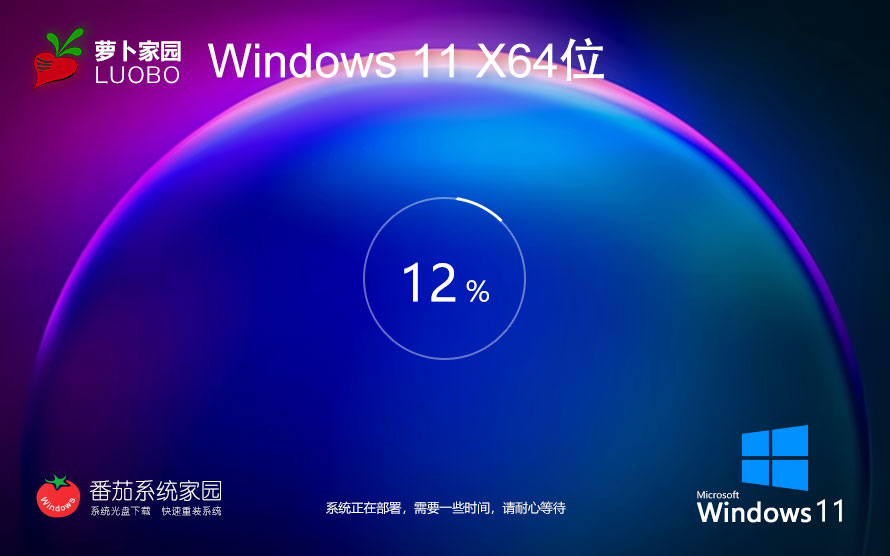 【新機(jī)預(yù)裝系統(tǒng)】Windows11 23H2 64位 專業(yè)版ISO鏡像