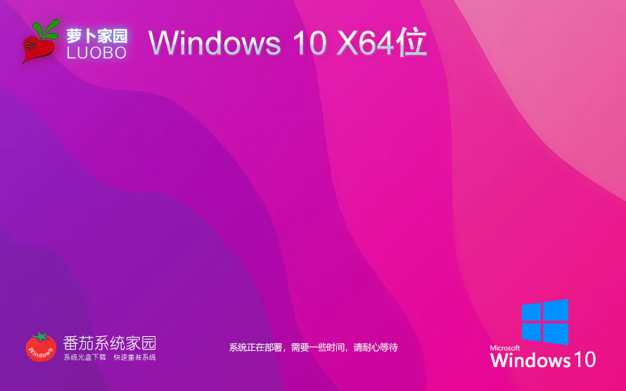 【巔峰性能，為專業(yè)而生】Windows10 22H2 64位 專業(yè)工作站版