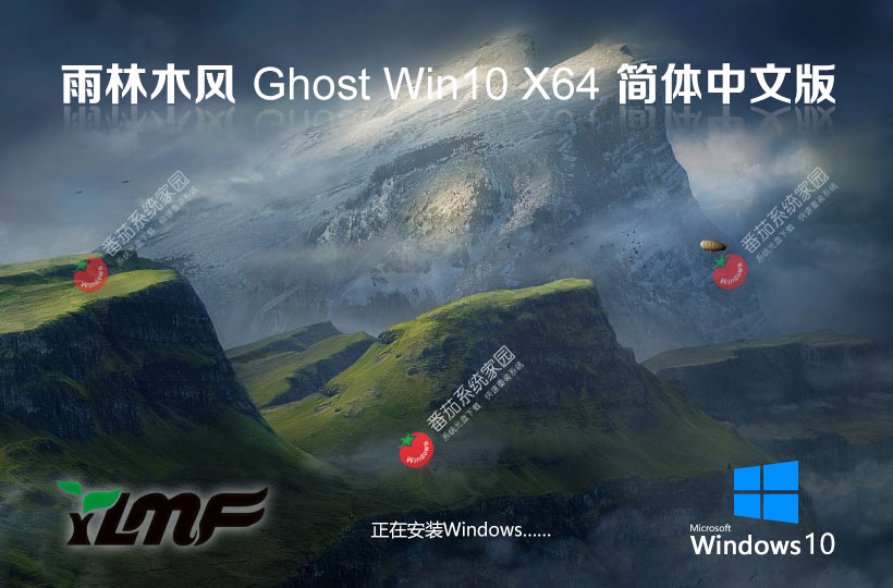 雨林木風(fēng) Ghost Win10 32位 專業(yè)安裝版