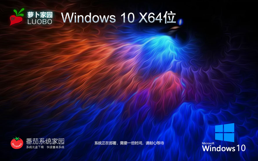 蘿卜家園Win10 22H2 64位 完美通用版